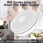 Tuya wifi alarm ugljen monoksid Detektor dima cigareta co