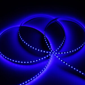 LED traka 5m 2835 12V 8mm 120 LED plava