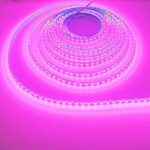 LED traka 5m 2835 12V 8mm 120 LED roza